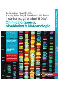 carbonio-il-gli-enzimi-il-dna--ldm-chimica-organica-biochimica-e-biotecnologie-vol-u