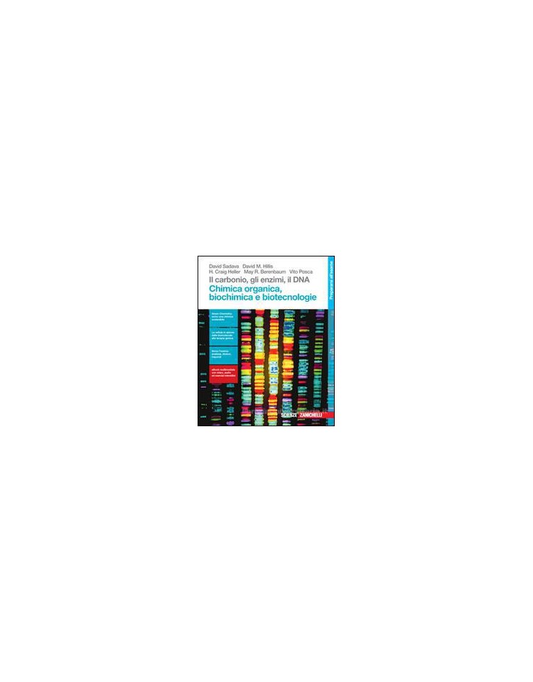 carbonio-il-gli-enzimi-il-dna--ldm-chimica-organica-biochimica-e-biotecnologie-vol-u