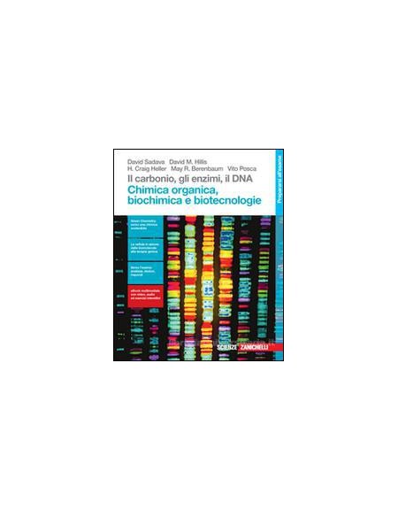 carbonio-il-gli-enzimi-il-dna--ldm-chimica-organica-biochimica-e-biotecnologie-vol-u