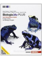 MATEMATICA MULTIMEDIALE.BLU 3ED. - VOL. 1 CON TUTOR (LDM)