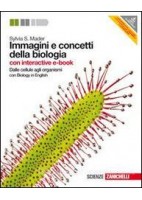 STORIA. PROGETTARE IL FUTURO 2ED. (LA) - CONFEZIONE VOL. 1 + GEOSTORIA (LDM) DALL`ANNO MILLE AL SEICENTO + EDUCAZIONE CIVICA