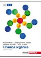 VIVERE LA LETTERATURA 2ED. - VOL. 1 (LDM) DALLE ORIGINI AL TARDO CINQUECENTO