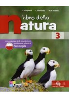 GEOTURISMO SET 2    EDIZIONE MISTA CORSO DI GEOGRAFIA TURISTICA   VOLUME 2 + ESPANSIONE ONLINE VOL.
