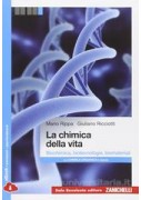 BELLO DELL` ITALUANO +SCRITTURA+INVALSI+DIGILAB ED.GIALLA