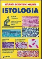 BRAVI IN ITALIANO  - VOLUME UNICO (LDM)