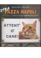 LIBERI DI INTERPRETARE VOL. 3A ED. ROSSA STORIA E TESTI DELLA LETTERATURA ITALIANA NEL QUADRO DELLE