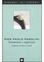 ARTE E TERRITORIO VOLUME 1. - DALLA PREISTORIA AL GOTICO + IL MIO TERRITORIO Vol. 1