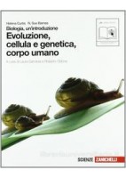 SGUARDO DELL`ARTE (LO) VOLUME 4 - DALLA CONTRORIFORMA ALL` IMPRESSIONISMO