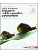 SGUARDO DELL`ARTE (LO) VOLUME 4 - DALLA CONTRORIFORMA ALL` IMPRESSIONISMO